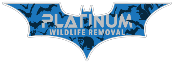 Centreville Animal Removal